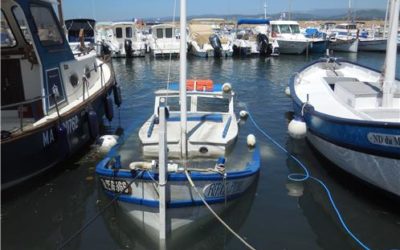 Assurance frais de renflouement et retirement!