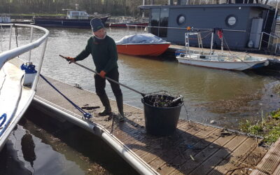 NETTOYAGE DES BERGES du 25/03/23 (photos)