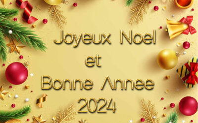 JOYEUSES FETES DE FIN D’ANNEE !