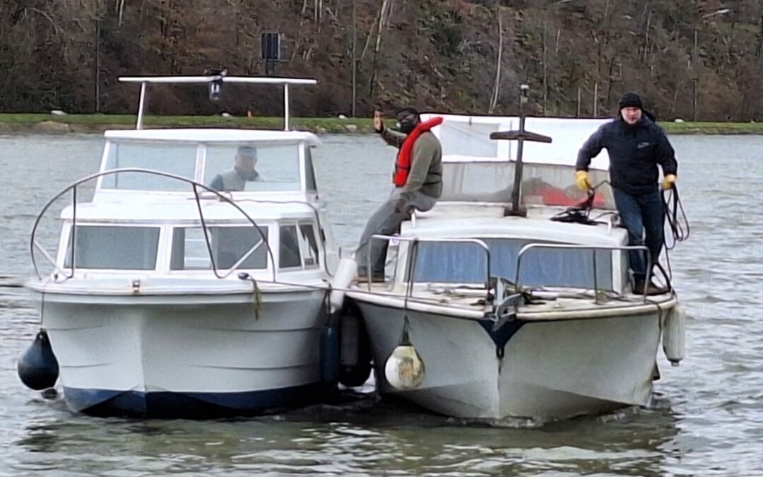 Mise à sec 2026 : opération menée à bien